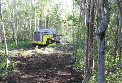 CLEARING AND MULCHING